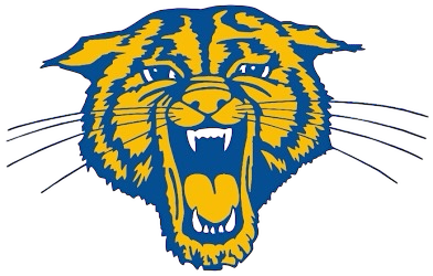 Somonauk logo