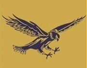 Hiawatha Jr./Sr. High School logo